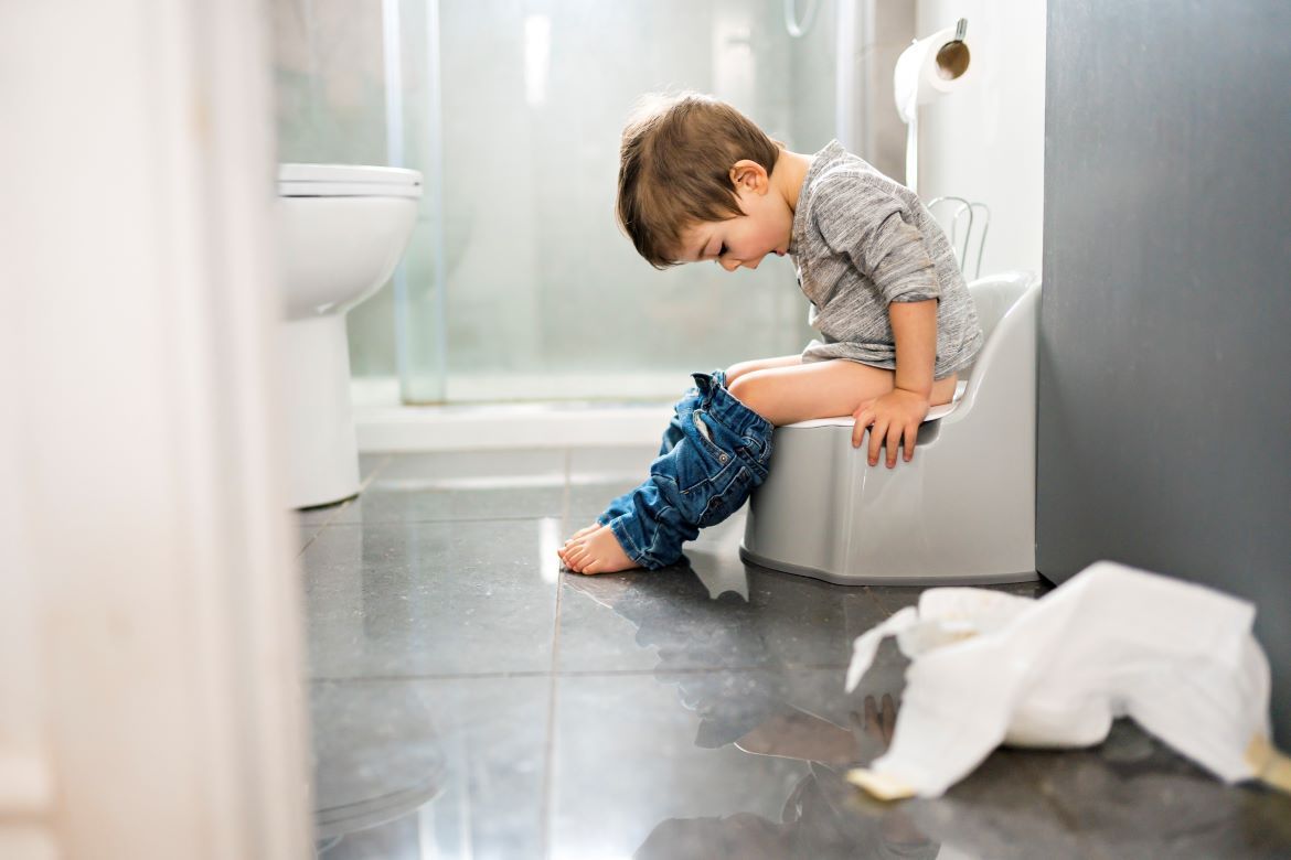 Potty Training Products