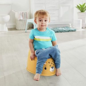 Stages of Potty Training: A Journey of Milestones插图1