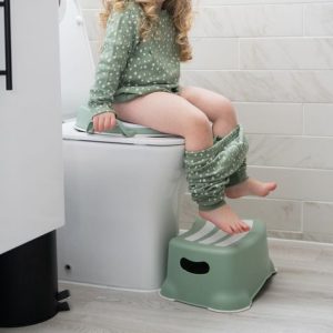 Potty Training Seat: A Game-Changer for Little Ones?