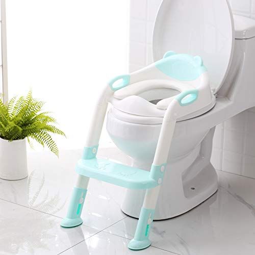 Potty Training Seat: A Game-Changer for Little Ones?