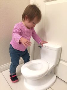 Overcoming Potty Resistance