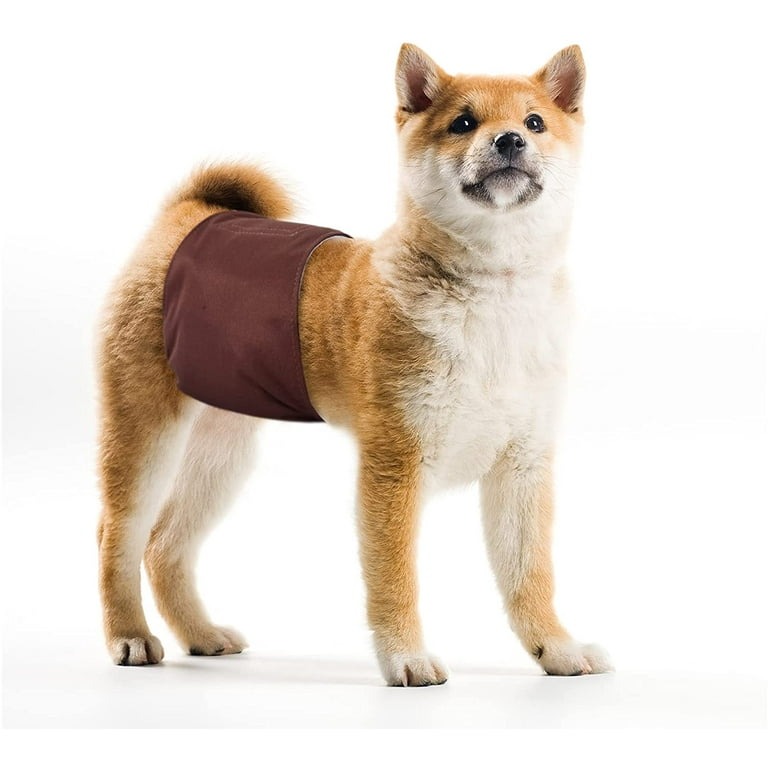 dog training pants